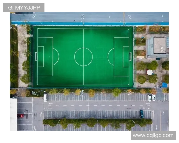 足球明星家庭的私人足球场揭秘与训练生活分享