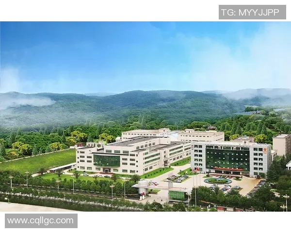 探索菱形商标体育品牌的创新之路与市场潜力分析